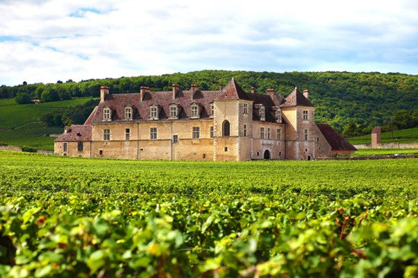Introduction to Bordeaux Red Wine: History, Styles, and Left vs Right Banks