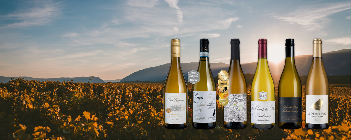 9020MB6 W2W Mid-banner - Oaked and Unoaked Chardonnay