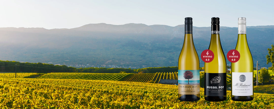 9072 CUS EDM - Marlborough Sauvignon Blanc Sensation