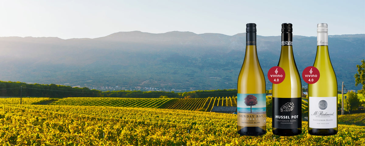 9072 CUS EDM - Marlborough Sauvignon Blanc Sensation