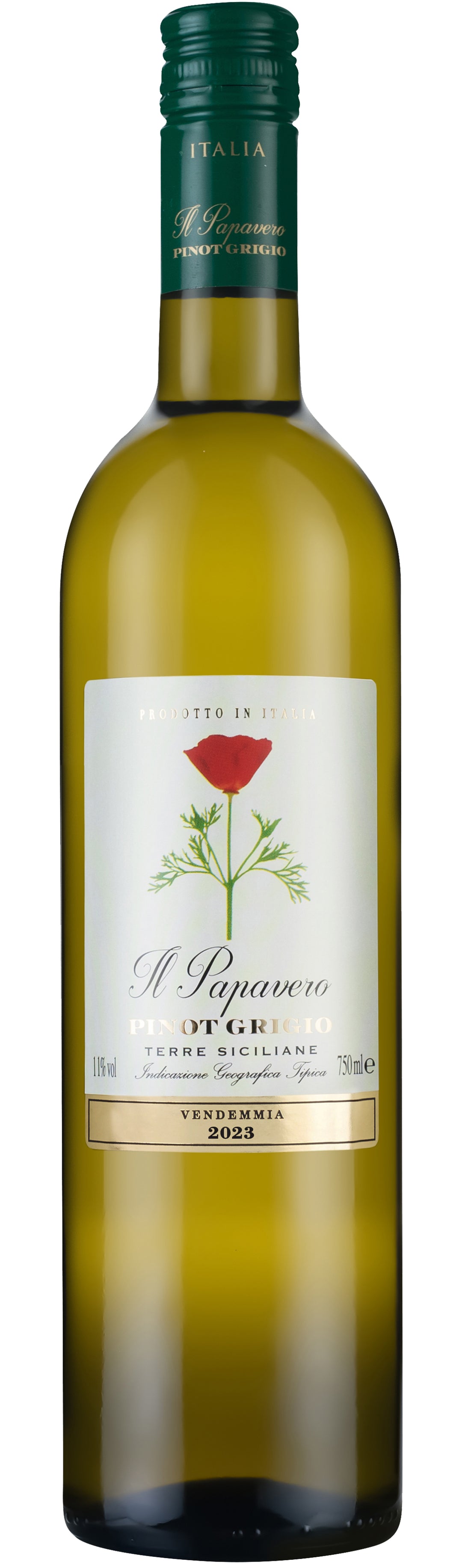 Il Papavero Pinot Grigio 2023