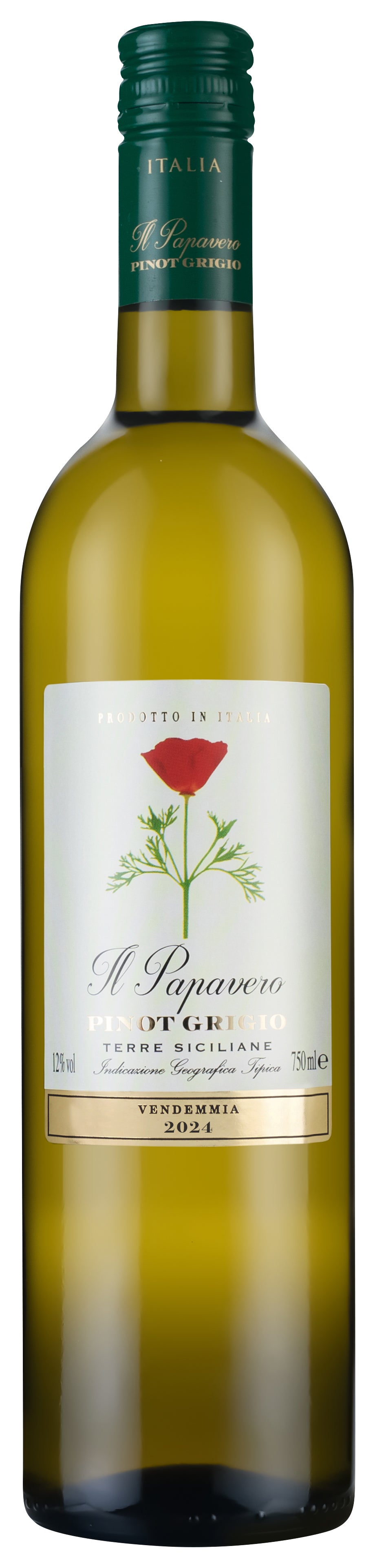 Il Papavero Pinot Grigio 2024