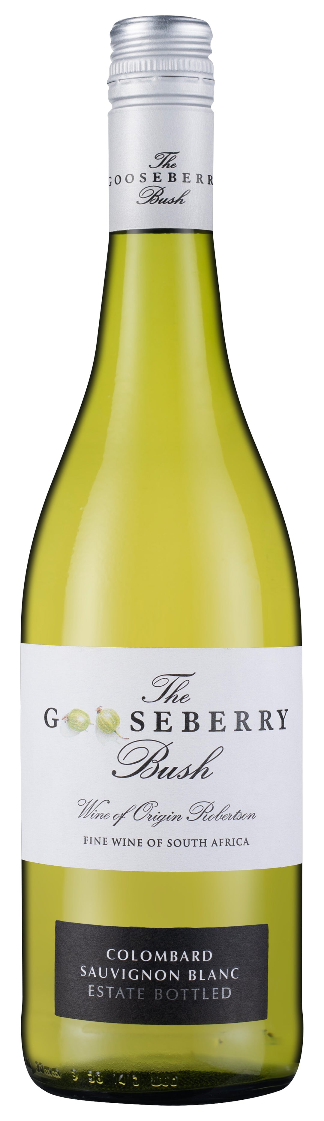 The Gooseberry Bush 2024