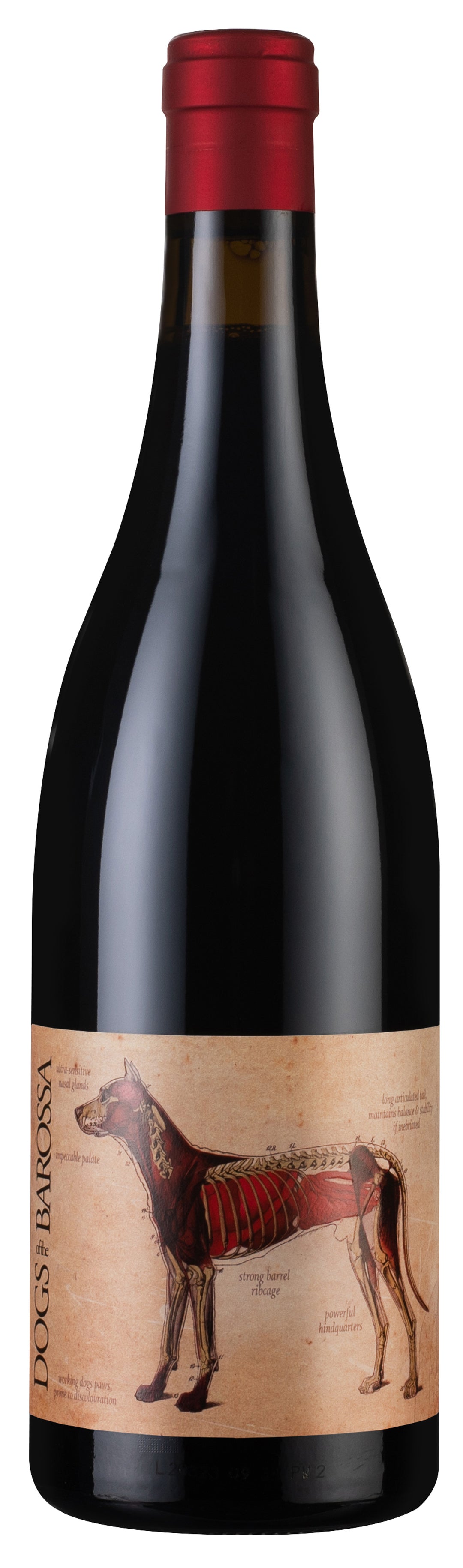 RedHeads Dogs of the Barossa Shiraz 2019