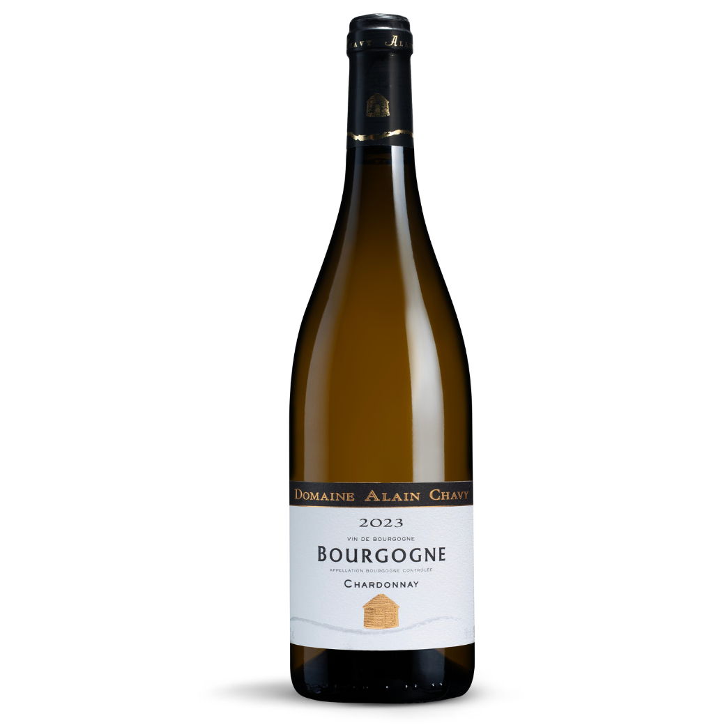 Domaine Alain Chavy Bourgogne Blanc 2023