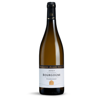 Domaine Alain Chavy Bourgogne Blanc 2023