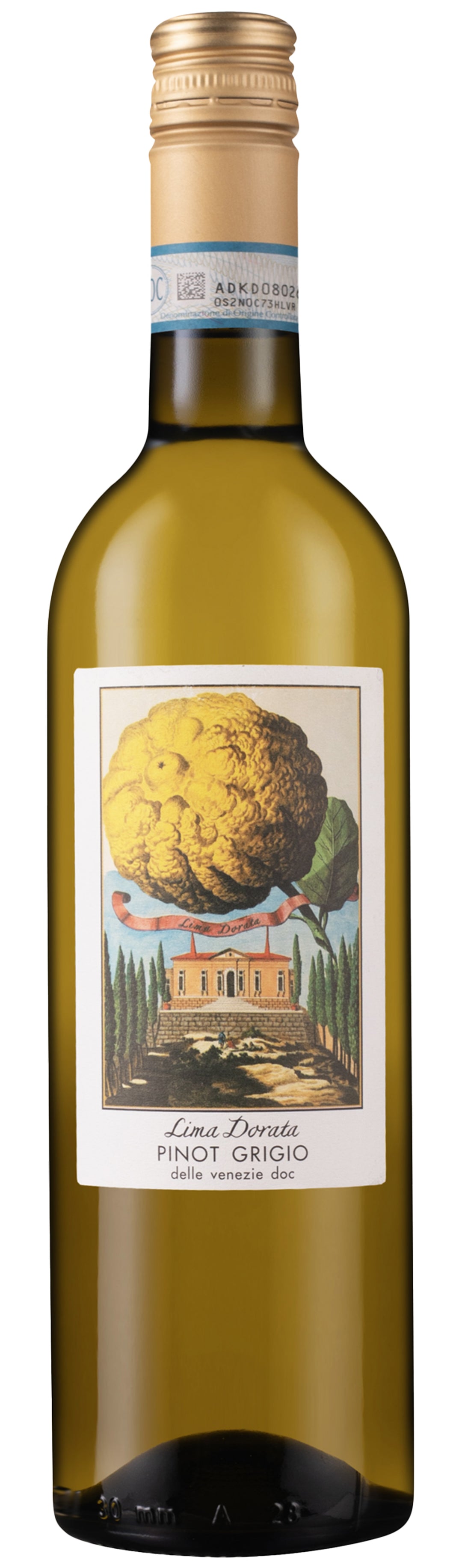 Lima Dorata Pinot Grigio 2023