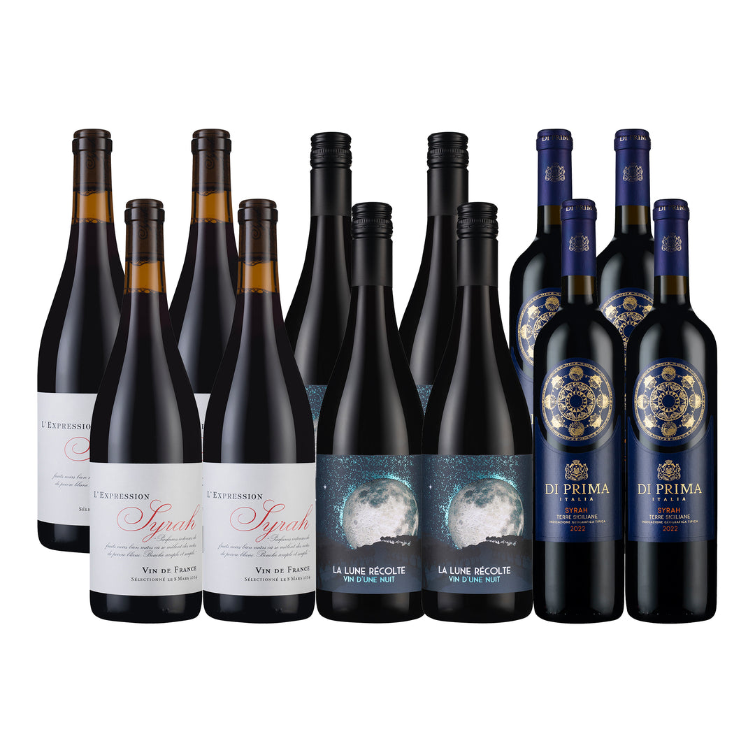 Syrah 醇酒組12支