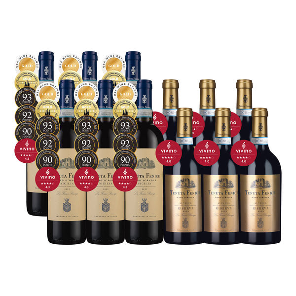 Tenuta Fenice Duo from Sisilia 12btl