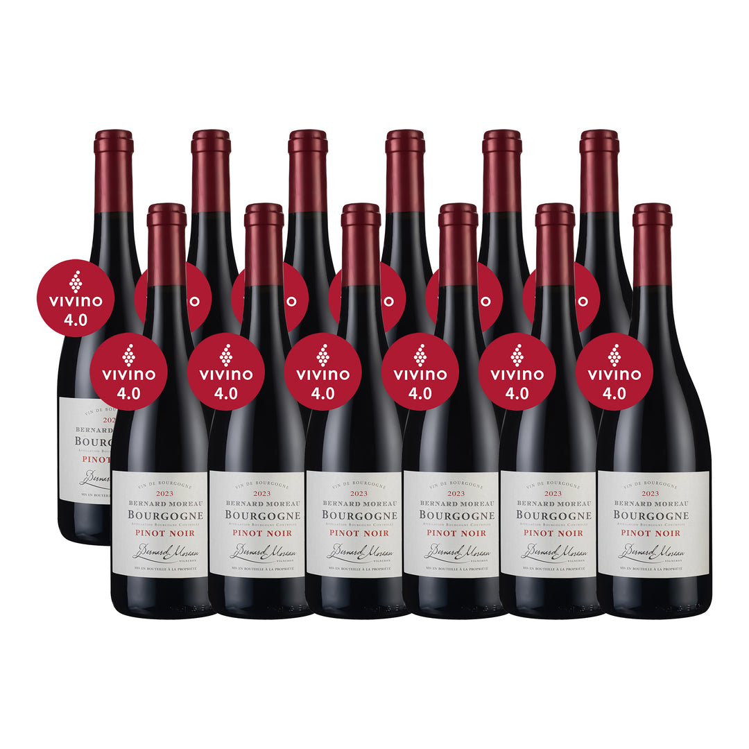 Domaine Bernard Moreau 2023 12支