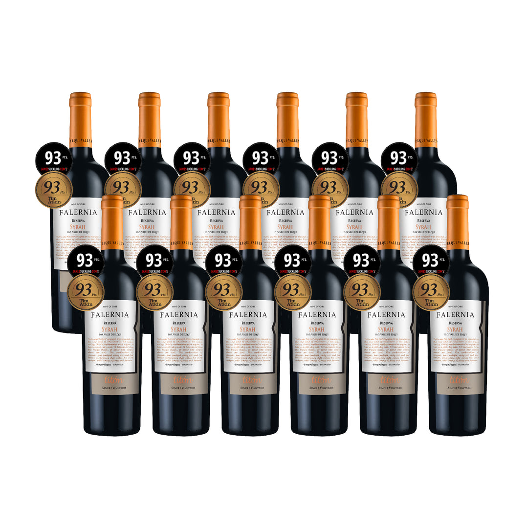 Falernia Titon Single Vineyard Reserva Syrah 2019 12btl