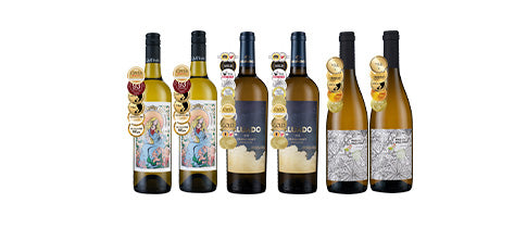 Stylish Classy Chardonnay 6btl