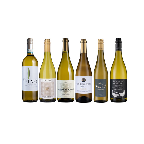 Best Wines for Chicken & Fish 6btl