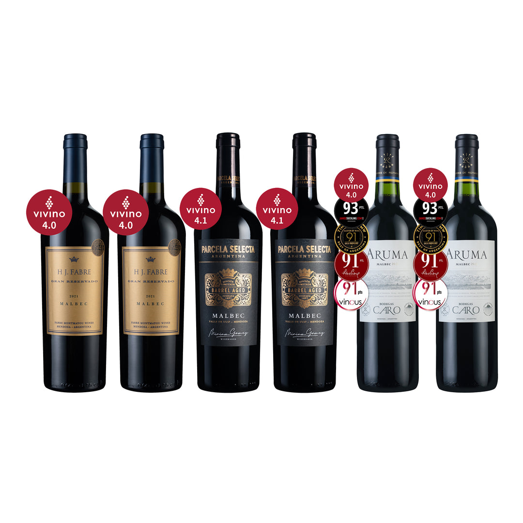 Top-Estate Argentine Malbec Collection 6Btl