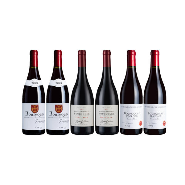 【本月精选】畅销Burgundy红酒6支