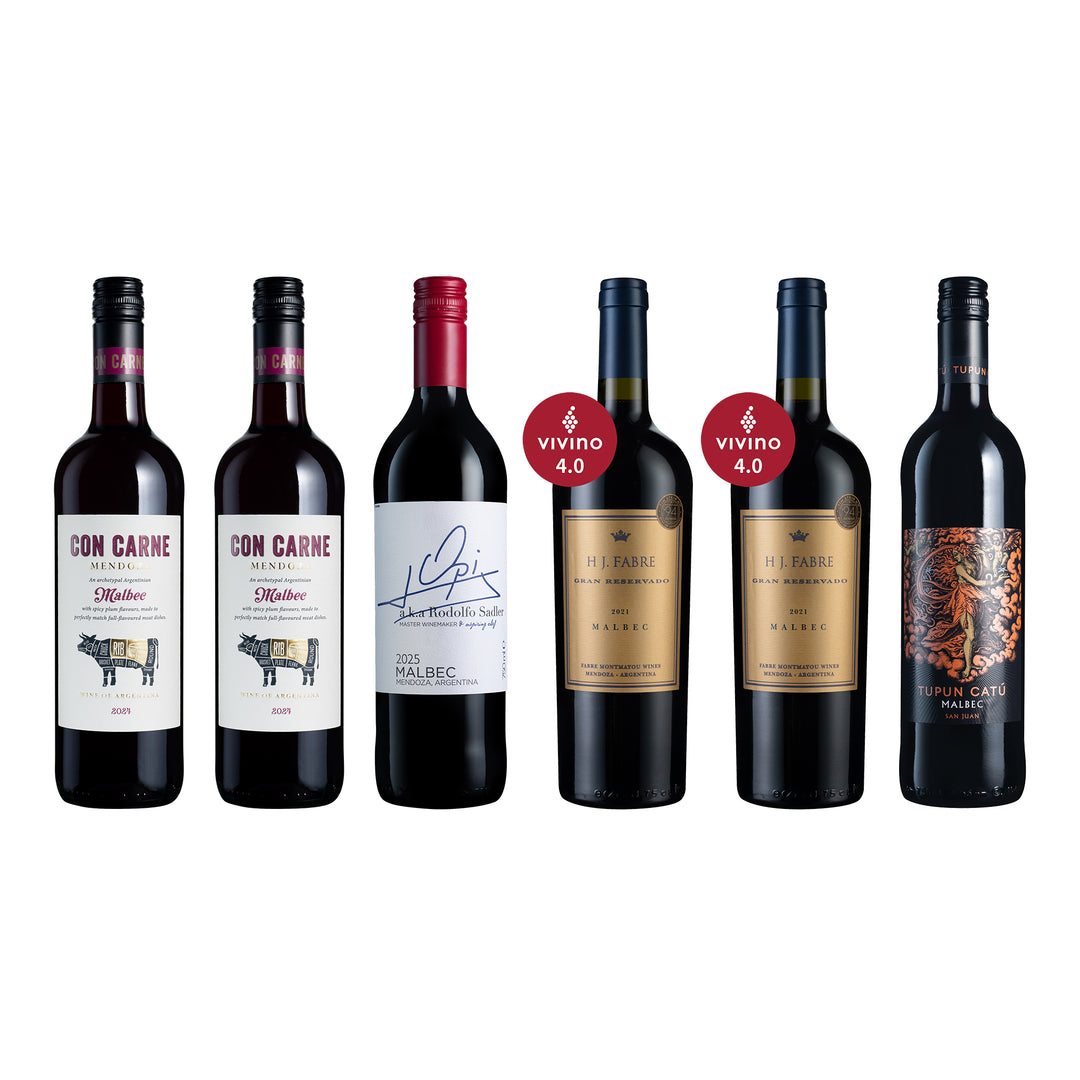 Argentine Malbec Collection 6Btl