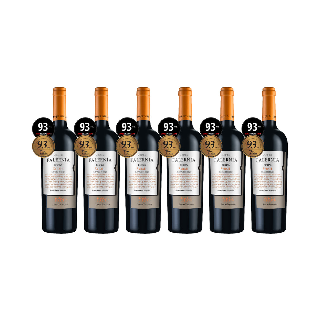 Falernia Titon Single Vineyard Reserva Syrah 2019 6btl