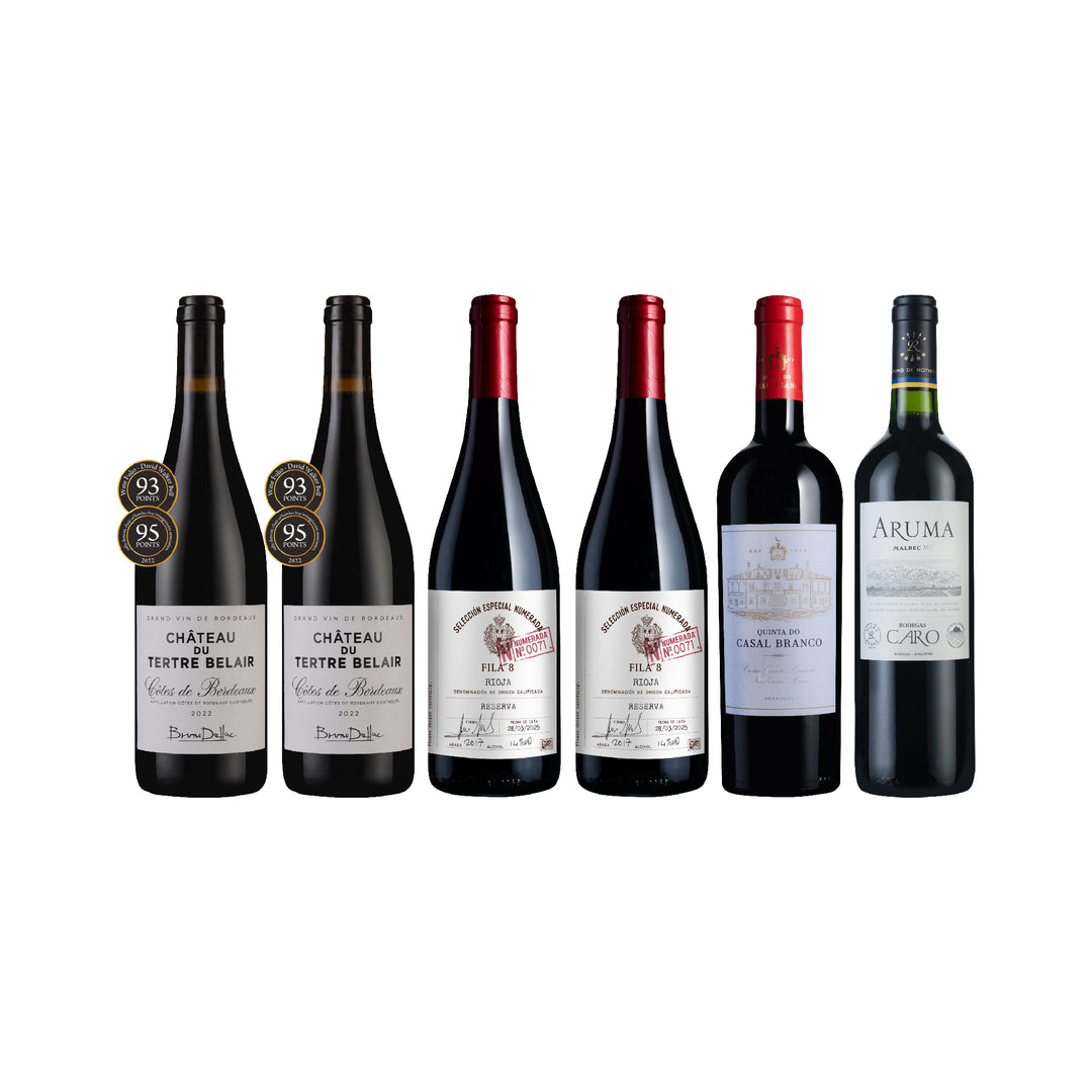 World Cup Champions Pack 6btl