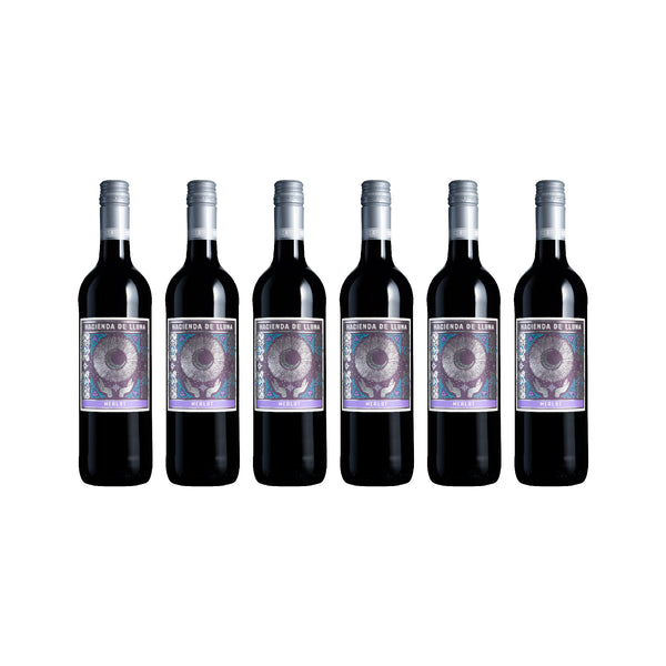 [FB/IG 粉絲限定]  Hacienda de Lluna Merlot 2024 6支
