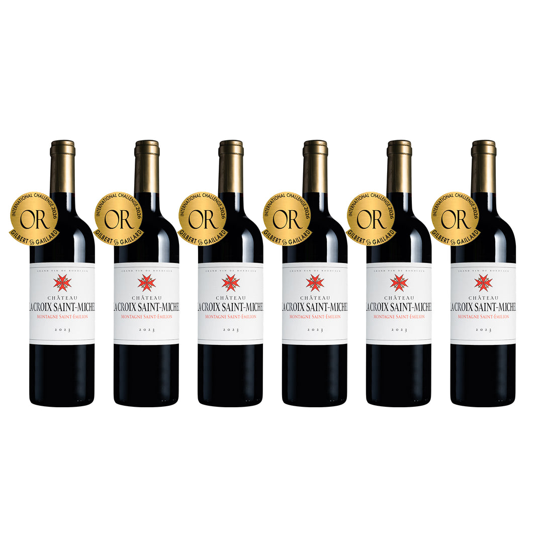[9110] Château la Croix Saint-Michel Montagne Saint-Emilion 6Btl