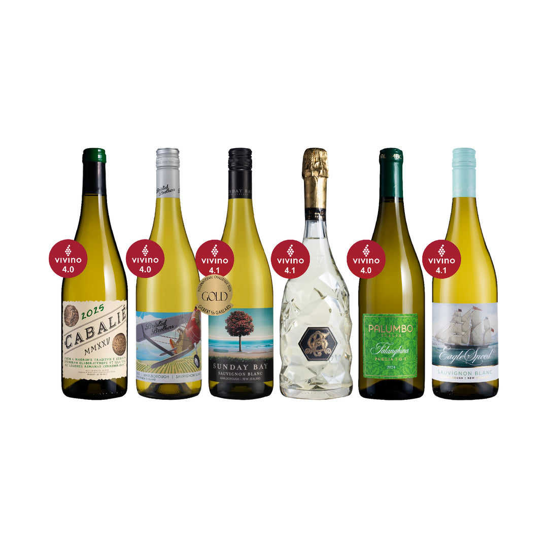 [FB/IG 粉丝限定] Vivino 4+★ 清新消暑精选6支
