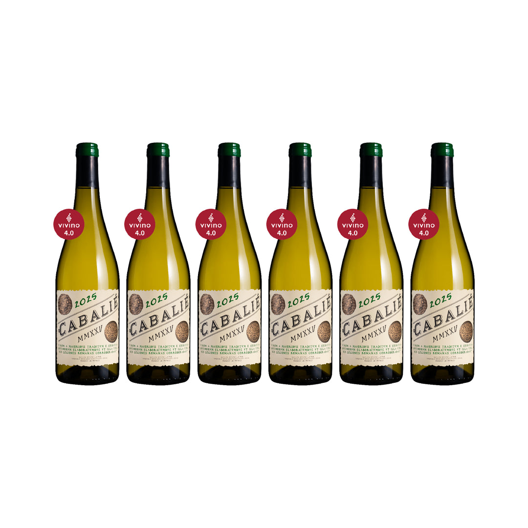 [Birthday Special] Add-on 2: Cabalié Blanc 2025 6btl