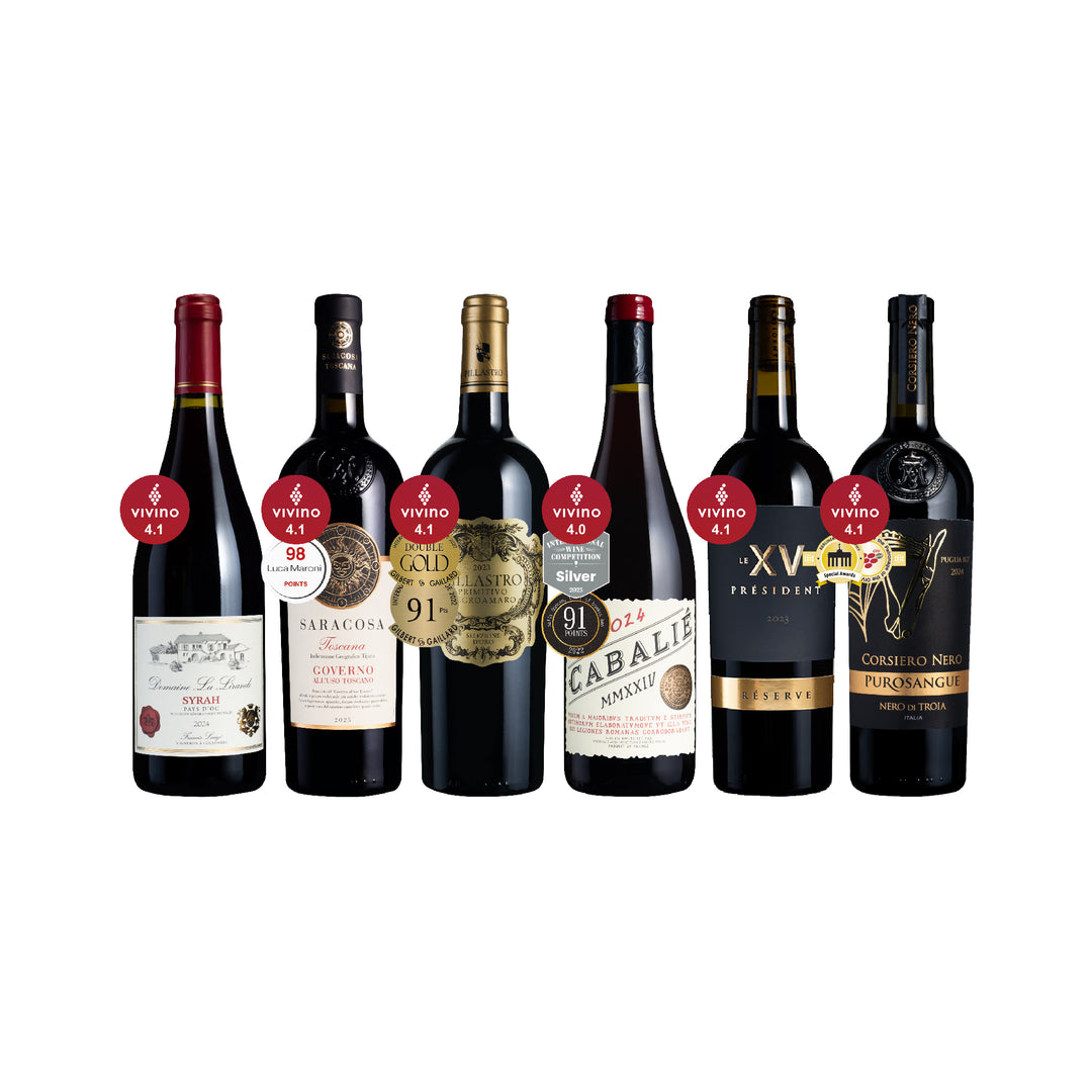 [独家] Vivino 4+★ 红酒组6支
