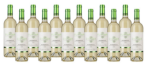 L'Epiphanie de Bordeaux Blanc 2020 12btl