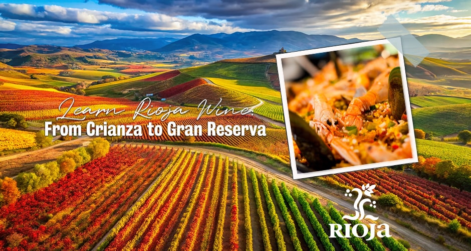 Learn Rioja Wine