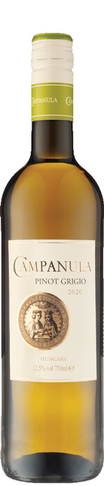 Campanula Pinot Grigio